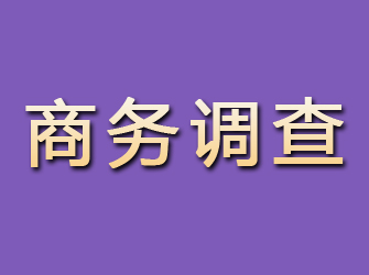 泰山商务调查